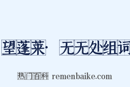 望蓬莱·无无处组词是什么意思的图片